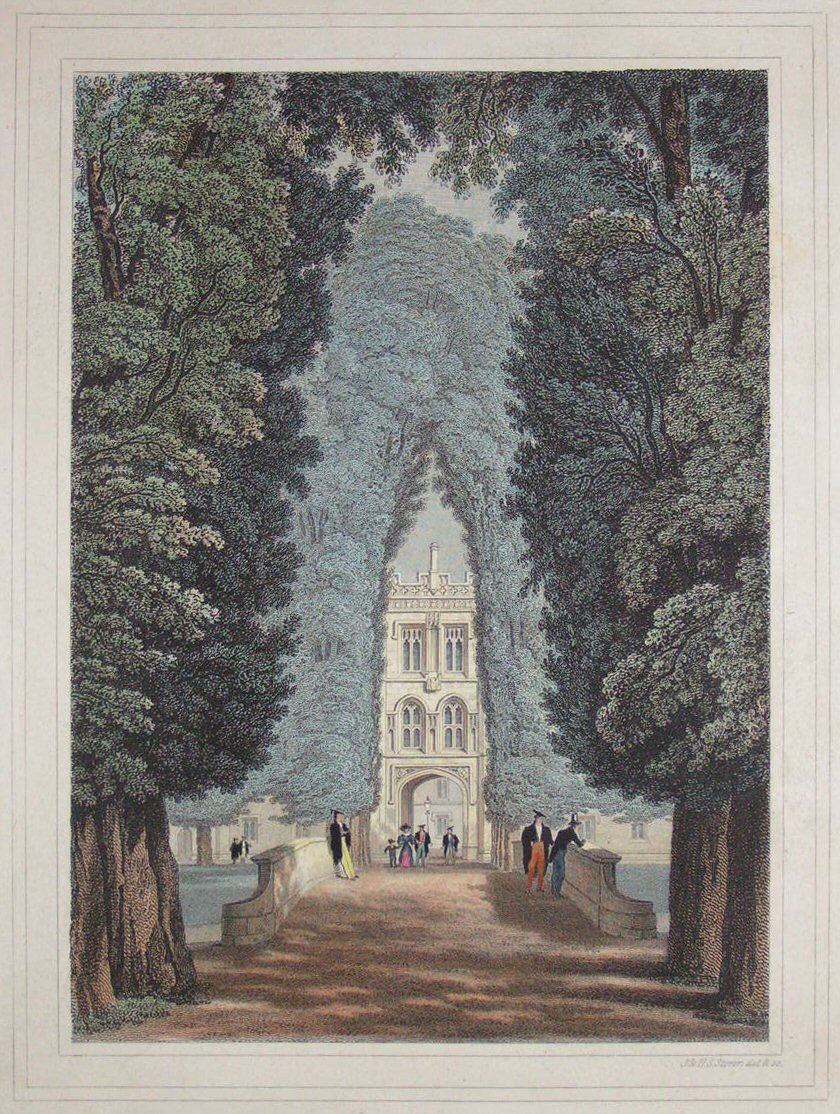 Print - (The Avenue, Trinity College) - Storer